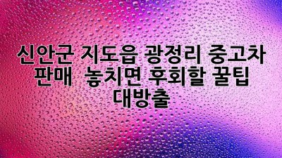 신안군 지도읍 광정리 중고차 판매, 🚗💨 놓치면 후회할 꿀팁 대방출!