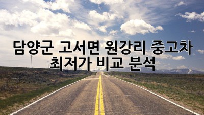 담양군 고서면 원강리 중고차 최저가 비교 분석